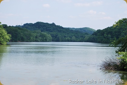 Radnor Lake in Nashville