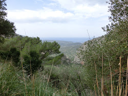 2012-10-20 Mallorca by BREITENGRAD53 - 058