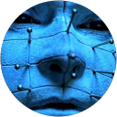 Image Google de Luciano DELL'ANDREA