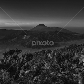 bromo by Tri Kurniawan - Landscapes Mountains & Hills