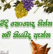 fb-photocomments.blogspot.com-2yffsav.jpg