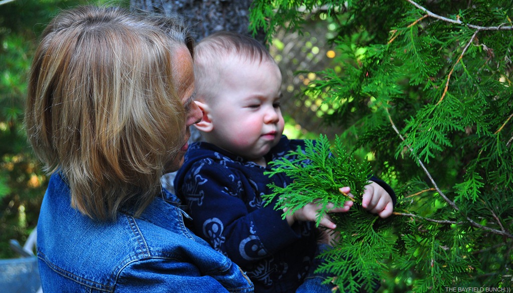 [DSC_0036%255B8%255D.jpg]