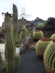 Lanzarote 2011 - - 027