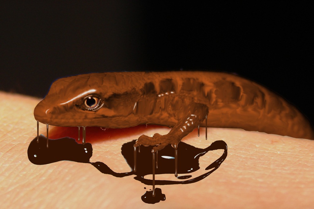 [Chocolate%2520Drip%2520Lizard%255B6%255D.jpg]