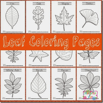 free leaf coloring pages #coloringpages #preschool free leaf coloring pages #coloringpages #preschool