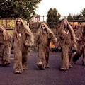 Super Furry Animals