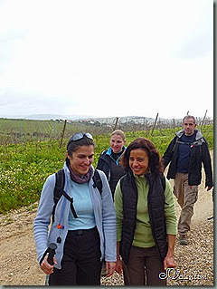 P1070836 P1070836