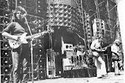 Grateful Dead