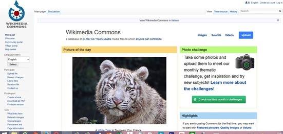 wikimedia-commons