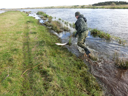 Skjern Au _ Oktober 2012 - 022