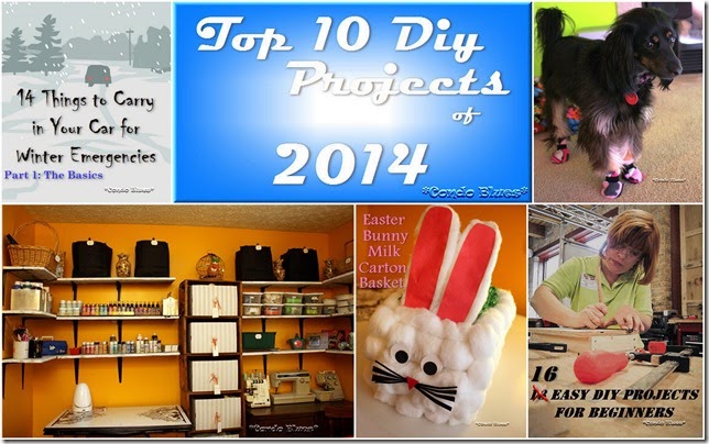 top 10 DIY projects of 2014
