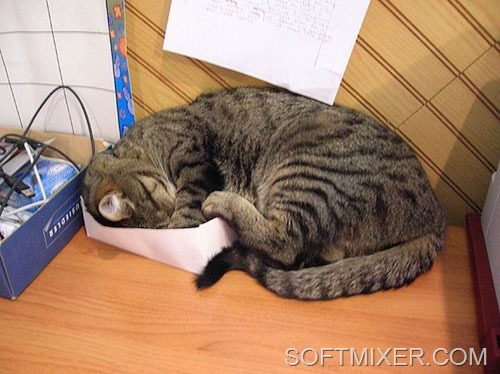 [clip_image021%255B7%255D.jpg]