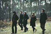 Zutons