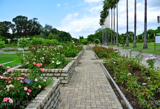 0134 - Glória Ishizaka - Jardim Botânico Nagai - Osaka