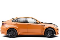 Hamann-Tycoon-5