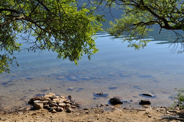 Lac d&#039;Issarlès photo #490