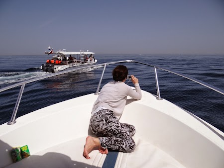 21. La vanatoare de delfini.JPG