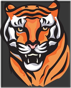 tigres (4)