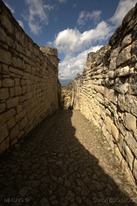 IMG_4636 IMG_4636