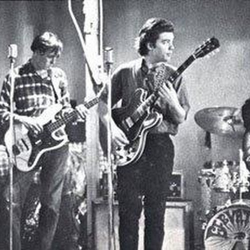 The 13th Floor Elevators