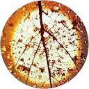 Image Google de cesse Prin