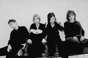 Elastica