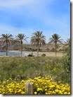 IMG_0003 - kopie IMG_0003 - kopie