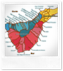 Mapas Ubicación Municipios y datos demográficos
