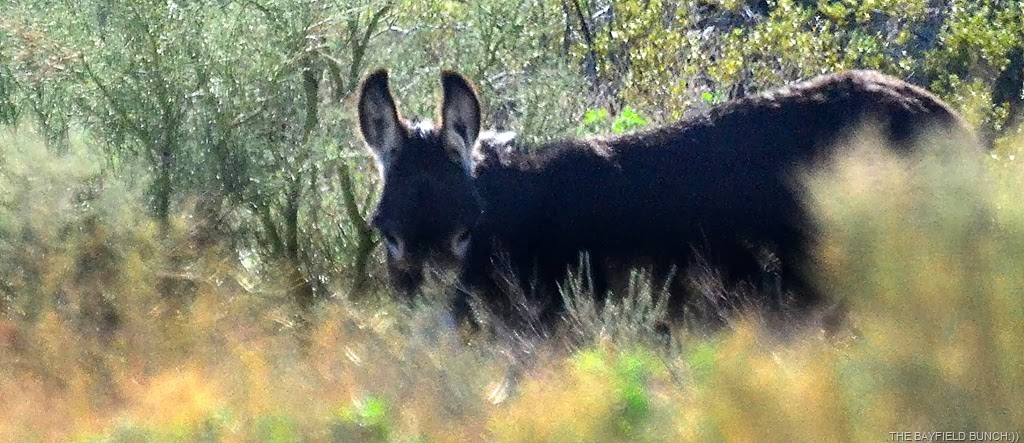 [DSC_0052-001%255B3%255D.jpg]