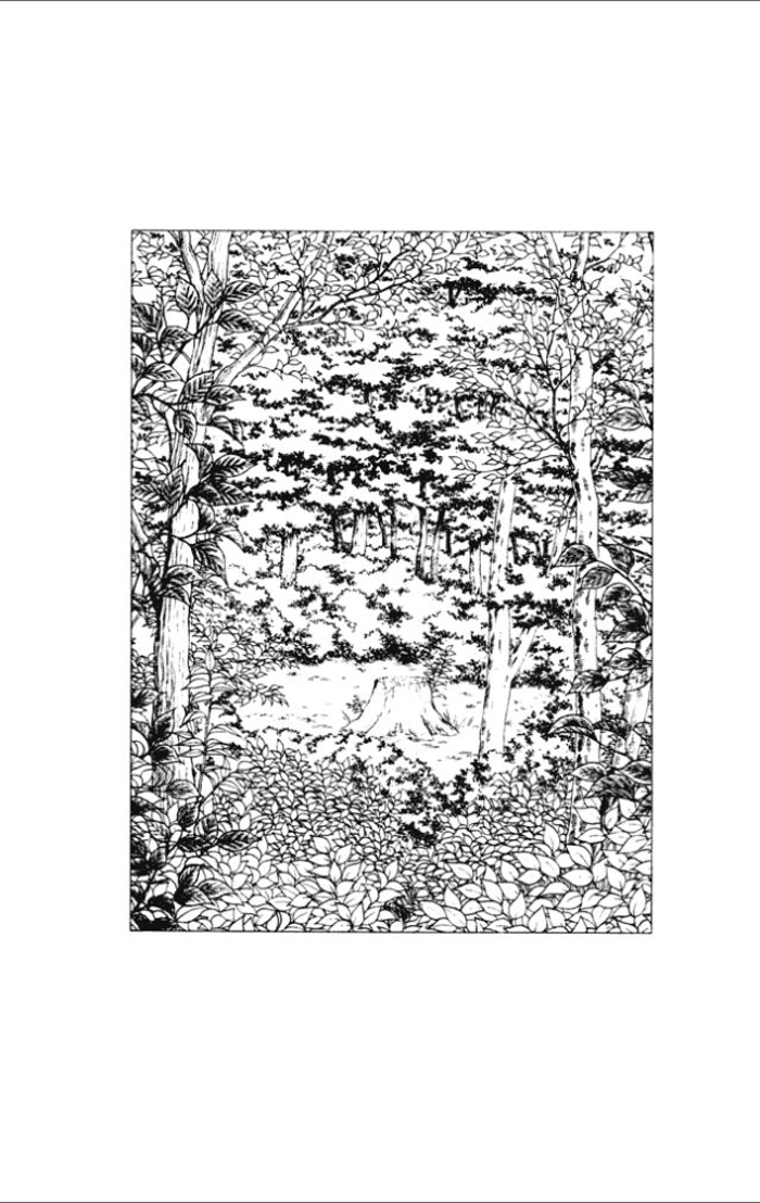 Musashi number Nine chap 18