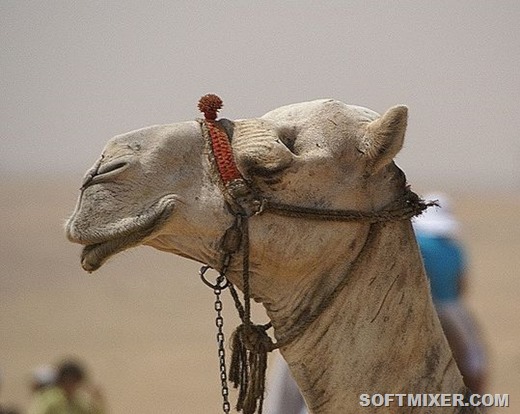 [clip_image003%255B7%255D.jpg]