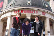 Wombats