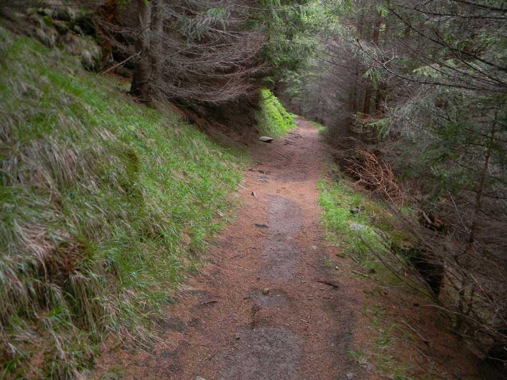 [DSCN05143.jpg]