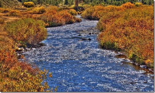 Saddlebag Creek