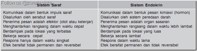 perbedaan sistem saraf dan sistem hormon