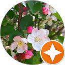 Image Google de Van Dn