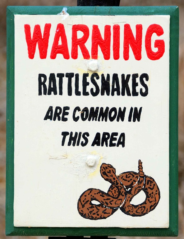 [Rattlesnake%2520Sign%255B4%255D.jpg]