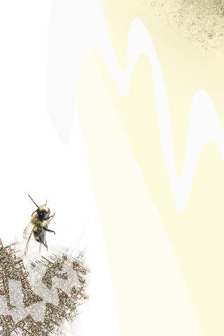 Ascw24756