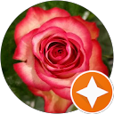 Image Google de coralie perriard