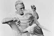Die Antwoord