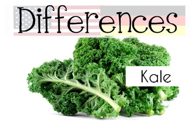 Kale vs grune kohl differences between the US and Germany
