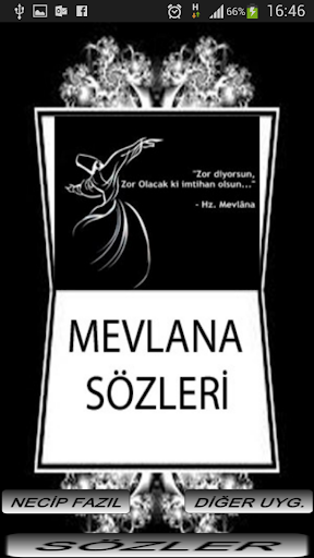 MEVLANA'NIN ÖĞÜTLERİ