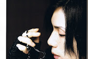 Acid Black Cherry
