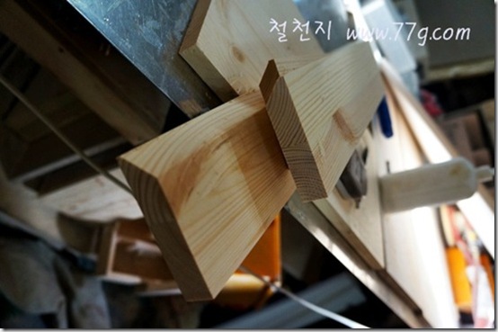 철천지DSC05555-20121226-135732