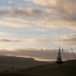gibbs-farm-dawson_04.jpg