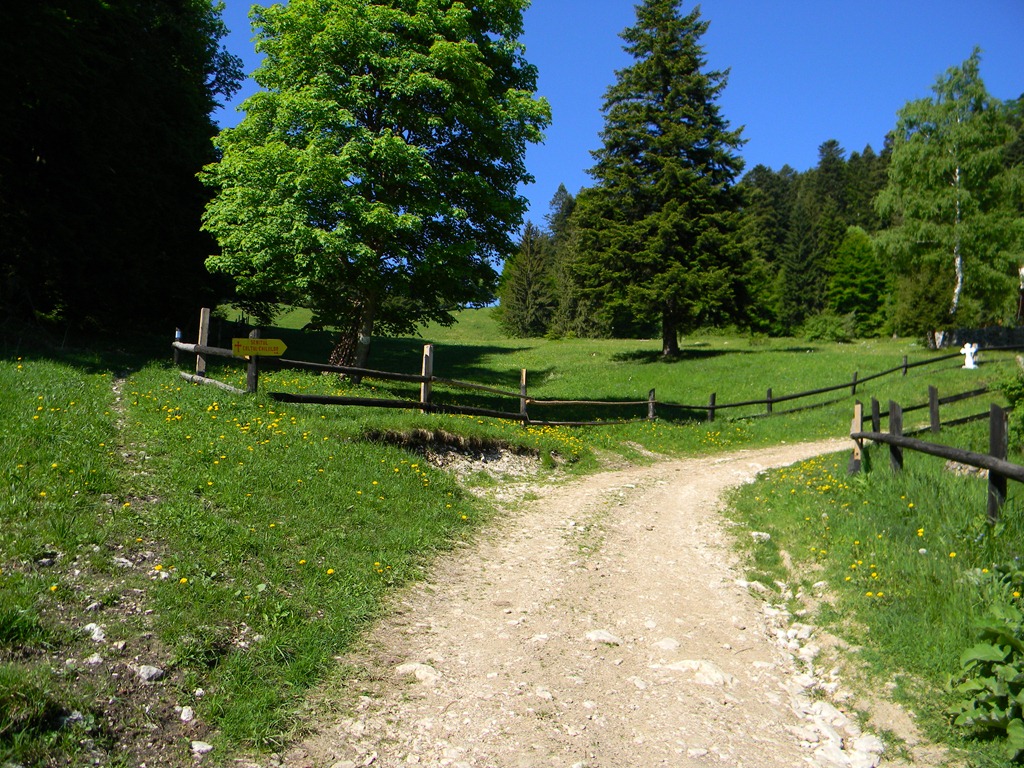 [DSCN56043.jpg]