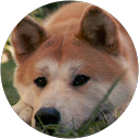 Image Google de Amandine W