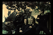 Porcupine Tree