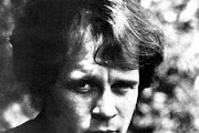 Tim Hardin
