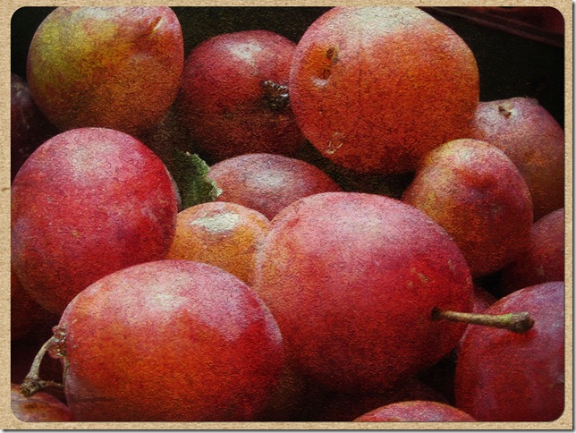 old-master-plums